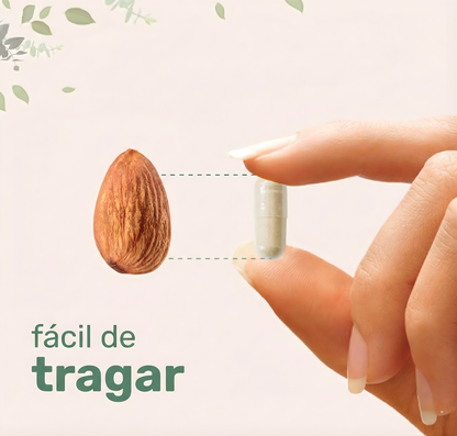 Suplemento Lion's Mane: Claridad Mental y Refuerzo Inmunológico